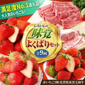 yӂ邳Ɣ[ŁzyR8N2ȍ~zyS9ցz낢̖o悭΂ZbgiԂ3ƍꌧYјaj/   ʕ t[c јa ؂藎Ƃ   ₫ 