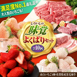 yӂ邳Ɣ[ŁzyR8N1ȍ~zyS10ցz낢̖o悭΂ZbgiԔ4ƍꌧYјaj/  ʕ t[c јa ؂藎Ƃ   ₫ 