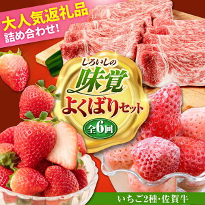 yӂ邳Ɣ[ŁzyR8N1ȍ~z낢̖o悭΂Zbgi2ƍꋍj /  ʕ t[c јa A4 A5 uh ꌧ Β [IZZ025]
