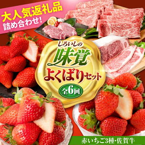 yӂ邳Ɣ[ŁzyR8N2ȍ~z낢̖o悭΂ZbgiԂ3ƍꋍj/  ʕ t[c јa A4 A5 uh ꌧ Β [IZZ027]