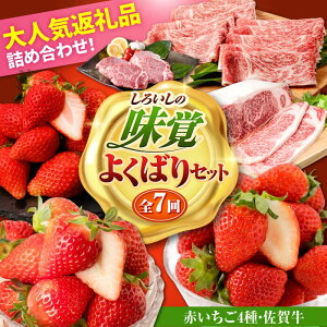 yӂ邳Ɣ[ŁzyR8N1ȍ~z낢̖o悭΂ZbgiԂ4ƍꋍj /  ʕ t[c јa A4 A5 uh ꌧ Β [IZZ028]