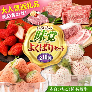 yӂ邳Ɣ[ŁzyR8N1ȍ~zyS10ցz낢̖o悭΂ZbgiԔ4ƍꋍj/  ʕ t[c јa A4 A5 uh ꌧ Β [IZZ029]