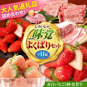 yӂ邳Ɣ[ŁzyR8N1ȍ~zyS11ցz낢̖o悭΂ZbgiԔ5ƍꋍj/  ʕ t[c јa A4 A5 uh ꌧ Β [IZZ030]