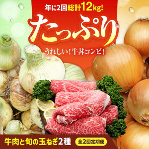 yӂ邳Ɣ[Łzy2026Ns\Izy2ցzRrIƋʂ˂̒ / ؂藎Ƃ ʔK V  Ӑ  Ă ꌧ Β [IZZ031]