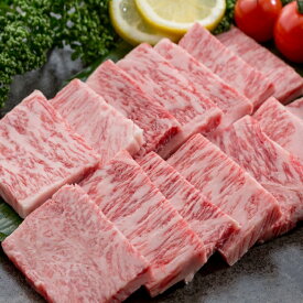 【ふるさと納税】 R3 佐賀牛 カルビ焼肉 1kg カルビ 焼肉 贅沢 BBQ キャンプ 国産牛 和牛 ブランド牛 牛肉 肉 高級 人気 おすすめ 佐賀県 太良町