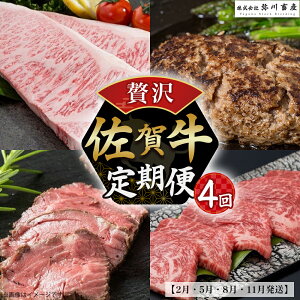yӂ邳Ɣ[ŁzSE1 ꋍ ґI4ցy2E5E8E11zꋍ no[O [Xgr[t T[C ꌧ ǒ