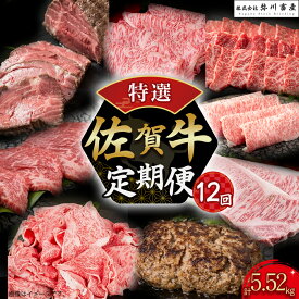 【ふるさと納税】佐賀牛 特選！12回定期便 V11