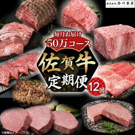 【ふるさと納税】Z2 佐賀牛 毎月お届け便 50万コース 定期便 12回 12ヶ月 すき焼き ロースステーキ ローストビーフ カルビ焼肉 ハンバーグ 赤身焼肉 ヒレステーキ ロースブロック モモブロック しゃぶしゃぶ 高級 人気 おすすめ 佐賀県 太良町