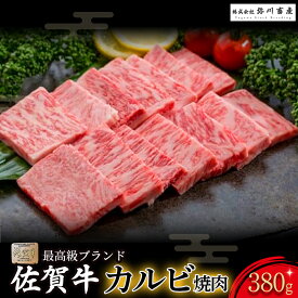 【ふるさと納税】P39 佐賀牛「カルビ焼肉」380g 【2025年12月1日までの入金で年内発送】 カルビ 焼肉 霜降り ギフト 贈答 国産牛 和牛 ブランド牛 牛肉 肉 高級 人気 おすすめ 佐賀県 太良町