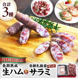 【ふるさと納税】田嶋畜産の月と時のハム(長期熟成生ハム)と発酵乳酸菌サラミセット 長期熟成 生ハム ハム 塩漬け サラミ 豚肉 ミンチ モモ肉 骨付 冷凍便 佐賀県 太良町 NB38