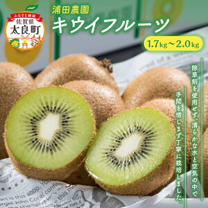 yӂ邳Ɣ[ŁẑԁLECt[c 1.7kg`2.0kg 10`16 Â LEC t[c ʕ h{ Yc_ ꌧ ǒ LB12