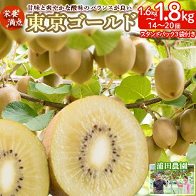 【ふるさと納税】栄養満点！東京ゴールド（キウイフルーツ） 14〜20個 1.6kg〜1.8kg スタンドパック 3袋付き キウイフルーツ キウイ フルーツ 東京ゴールド くだもの 果物 ミネラル豊富 太良町 国産 贈答用 【2026年11月中旬～2027年1月上旬発送】