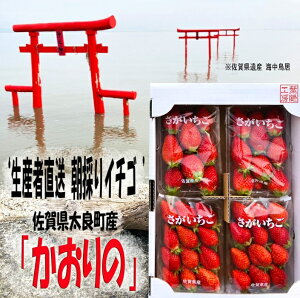 yӂ邳Ɣ[ŁzN-252 ǒYúv250g×4P@YҒÎ䕁I