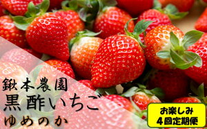 【ふるさと納税】RH-2 鍬本農園の黒酢いちご(ゆめのか) お楽しみ4回定期便