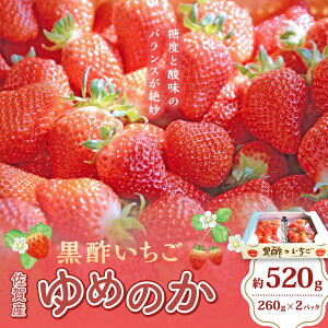 yӂ邳Ɣ[ŁzN-239 |(߂̂)@pbN@260g×2pbN