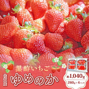 yӂ邳Ɣ[ŁzNB-22 |(߂̂)@M[pbN@260g×4pbN