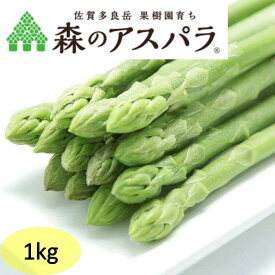 【ふるさと納税】【令和7年3月より発送開始】NB-7 採れたて直送！「森のアスパラ」1kg