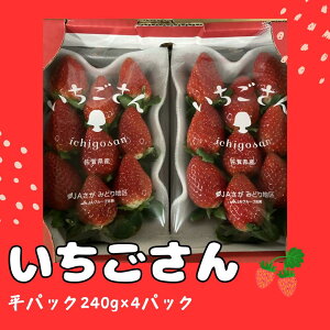 yӂ邳Ɣ[ŁzN-205 @pbN@240g×4pbN   t[c ʕ