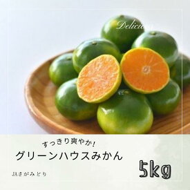 【ふるさと納税】P-57 すっきり爽やか！！グリーンハウスみかん 5kg 夏 みかん ミカン 蜜柑 フルーツ くだもの 果物 ミネラル豊富 太良町 国産 産地直送 贈答用