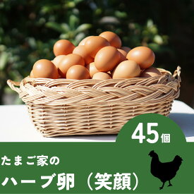 【ふるさと納税】NB-6 たまご家のハーブ卵（笑顔）45個 卵 卵料理 ゆでたまご 卵かけご飯