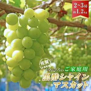 �y�ӂ邳�Ɣ[�Łz ���˂Ђ�́u���|�V���C���}�X�J�b�g�i���ƒ�p�j�v2�`3�[�i��1.2kg�j �y2026�N9����{�`9�����{�����\��z �u�h�E �Ԃǂ� ���� �ʕ� �t���[�c �Y�n���� �M�t�g ���� �v���[