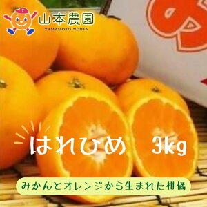 yӂ邳Ɣ[ŁzL-69 R{_̂͂Ђ 3kg