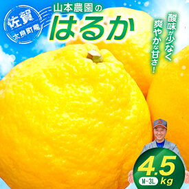 【ふるさと納税】山本農園のはるか 4.5kg 【2026年1月下旬～4月下旬発送予定】 柑橘 日向夏 みかん 佐賀県 太良町 L67x1