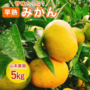 yszyӂ邳Ɣ[ŁzL-70 R{_̑n݂ 5kg@݂ ~J  ݂ ǂ݂ B݂ g݂ n݂ Ïn k Y ꌧY ǒ  L@