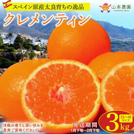 【ふるさと納税】 山本農園のクレメンティン 3kg 【2026年1月下旬～2月下旬迄順次発送予定】 クレメンティン みかん 柑橘 国産 オレンジ マンダリン 希少 ジューシー くだもの 果物 フルーツ 新鮮 贈り物 ギフト 佐賀県 太良町 送料無料 L41