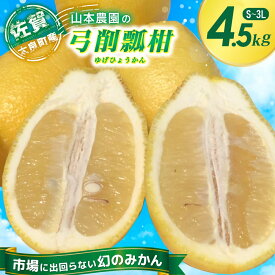 【ふるさと納税】山本農園の珍果 弓削瓢柑 （ゆげひょうかん） 4.5kg 【2026年3月下旬～4月下旬発送予定】 フルーツ 果物 柑橘 オレンジ みかん ひょう柑 佐賀県 太良町 N127x1