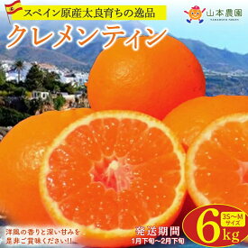 【ふるさと納税】 山本農園のクレメンティン 6kg （3kg×2箱） 【2026年1月下旬～2月下旬迄順次発送予定】 クレメンティン 希少 ヨーロッパ生まれ スペイン原産 太良みかん みかん ミカン 蜜柑 フルーツ くだもの 果物 太良町 国産 甘い 美味しい 佐賀県 太良町 送料無料 NC9