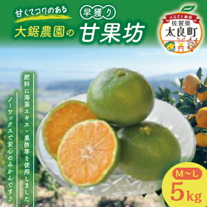 yӂ邳Ɣ[Łz勘_̑nÉʖV 5kg ݂  ǂ݂ B݂ ʕ t[c Â n k m[bNX ʎ  k ꌧ ǒ LB11