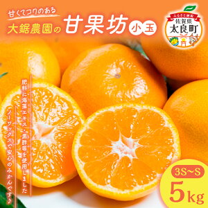 yӂ邳Ɣ[Łz݂ 勘_ ÉʖViʁj5kg | ꌧ ǒ ݂ ~J   ɑ  ӂ邳Ɣ[ 5kg ꌧ ǒ LC k Â sTCY | ʕ t[c LB-8