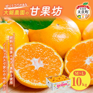 yӂ邳Ɣ[Łz݂ 勘_ ÉʖV 10kg | ꌧ ǒ ݂ ~J   ɑ ӂ邳Ɣ[ 10kg ꌧ ǒ LC k Â | ʕ t[c N-44