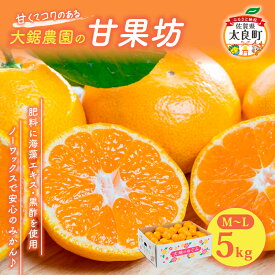 【ふるさと納税】みかん 大鋸農園 甘果坊 5kg | 佐賀県 太良町 みかん ミカン 蜜柑 早生 極早生 ふるさと納税 5kg 佐賀県 太良町 有明海 柑橘 甘い 黒酢 果物 フルーツ LB-7