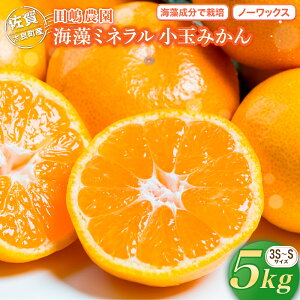 yӂ邳Ɣ[ŁzL-21 C~lʂ݂ 5kg