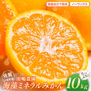 yӂ邳Ɣ[ŁzN-40 C~l݂ 10kg