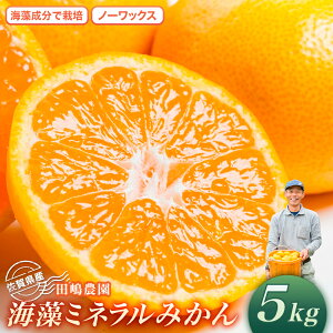 yӂ邳Ɣ[ŁzL-22 C~l݂ 5kg