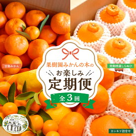 「果樹園みかんの木」のお楽しみ3回定期便コース　みかん ミカン 蜜柑 温州みかん 完熟みかん 柑橘 不知火 しらぬひ でこぽん デコポン 贈答品 定期便 詰め合わせ 佐賀県 太良町 Q45