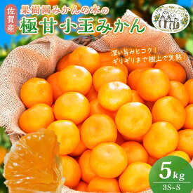 【ふるさと納税】M-33 果樹園みかんの木の極甘小玉みかん 5kg　みかん ミカン 蜜柑 温州みかん 完熟みかん 甘熟 柑橘 有機栽培 国産 佐賀県産 太良町 こだわり 贈答品 産地直送 詰め合わせ 小玉 極甘
