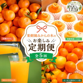 【ふるさと納税】R-37「果樹園みかんの木」のお楽しみ5回定期便コース みかん ミカン 蜜柑 温州みかん 完熟みかん 甘熟 柑橘 しらぬひ でこぽん デコポン みかんジュース ジュース 100％ジュース 有機栽培 国産 佐賀県産 太良町 こだわり 贈答品 産地直送 詰め合わせ 定期便