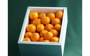 �y�ӂ邳�Ɣ[�ŁzN87x1 ���Â݂��񉀂̃N�������e�B�� 5kg �y2026�N1�����{�`2�����{�܂ŏ��������\��z �N�������e�B�� ���[���b�p���܂� ���ǂ݂��� �݂��� �~�J�� ���� �t���[�c �������� 