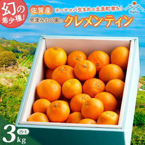 �y�ӂ邳�Ɣ[�ŁzL-29x1 ���Â݂��񉀂̃N�������e�B�� 3kg �y2026�N1�����{�`2�����{�܂ŏ��������\��z �N�������e�B�� ���[���b�p���܂� ���ǂ݂��� �݂��� �~�J�� ���� �t���[�c �������� 