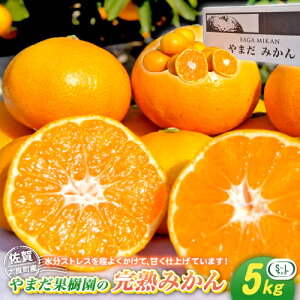 yӂ邳Ɣ[ŁzL-32 ܂ʎ̊n݂@5kg