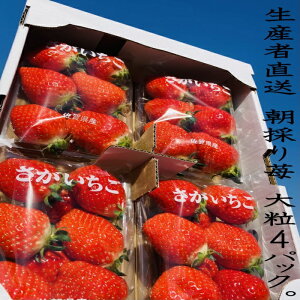 yӂ邳Ɣ[ŁzN-88 ǒYúv270g×4P@YҒÎ䕁I
