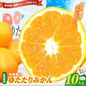 【ふるさと納税】峰農園のゆたたりみかん 10kg 温州 みかん ミカン 蜜柑 温州蜜柑 温州ミカン フルーツ くだもの 果物 佐賀県 太良町 ND11