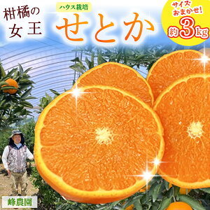 yӂ邳Ɣ[Łz_̃nEXƂ 3kg(TCY܂) ݂ k AR[ }[Rbg IW  ꌧ ǒ O169