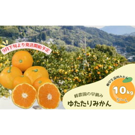 【ふるさと納税】峰農園の早摘みゆたたりみかん 10kg 温州 みかん ミカン 蜜柑 温州蜜柑 温州ミカン フルーツ くだもの 果物 ミネラル豊富 太良町 国産 さがみかん 太良みかん 有明海の潮風 贈答用 お中元 お歳暮 産地直送 月の引力が見える町 ふるさと納税 返礼品 NB13