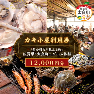 yӂ邳Ɣ[ŁzyJLpzü͂钬vꌧEǒŃǑ(12,000~) QN4