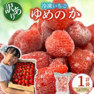 【ふるさと納税】LB21 訳あり!太良町産「ゆめのか」冷凍いちご500g×1袋 佐賀県 太良町